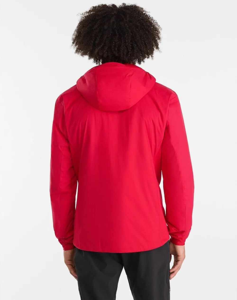 Heren Arcteryx Atom LT hoody mens