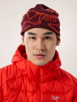 DAMES Arcteryx Bird head toque