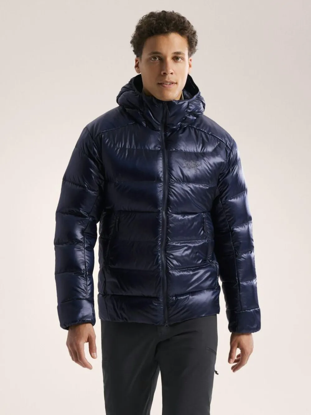 Heren Arcteryx Cerium SV hoody M