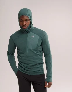 Heren Arcteryx Delta 1/2 zip hoody mens