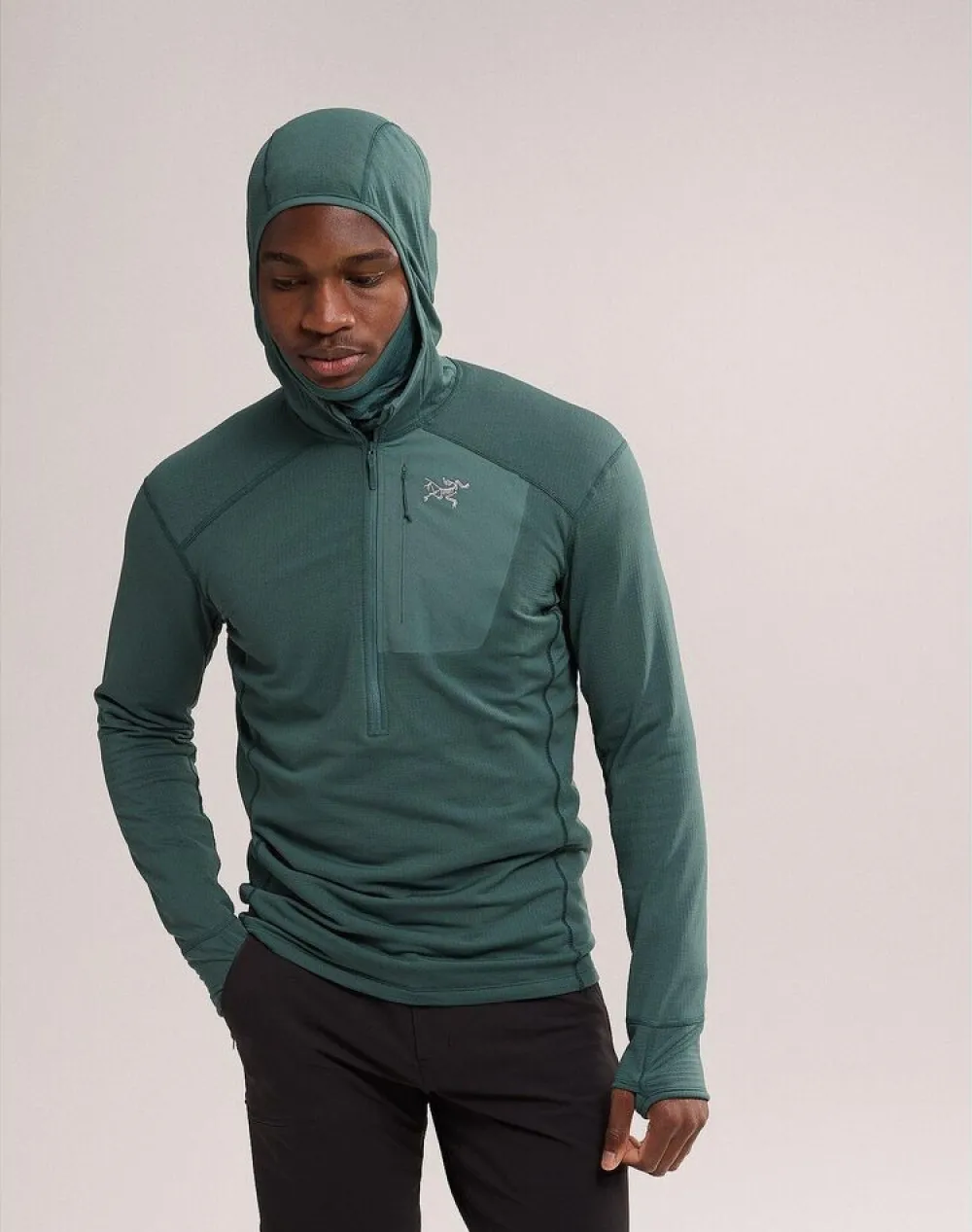 Heren Arcteryx Delta 1/2 zip hoody mens