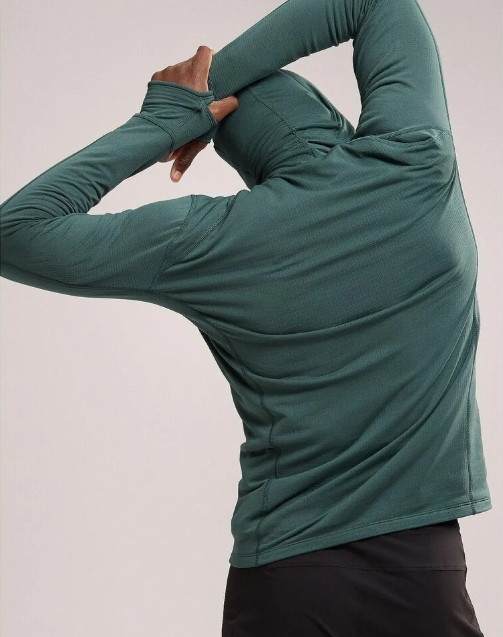 Heren Arcteryx Delta 1/2 zip hoody mens