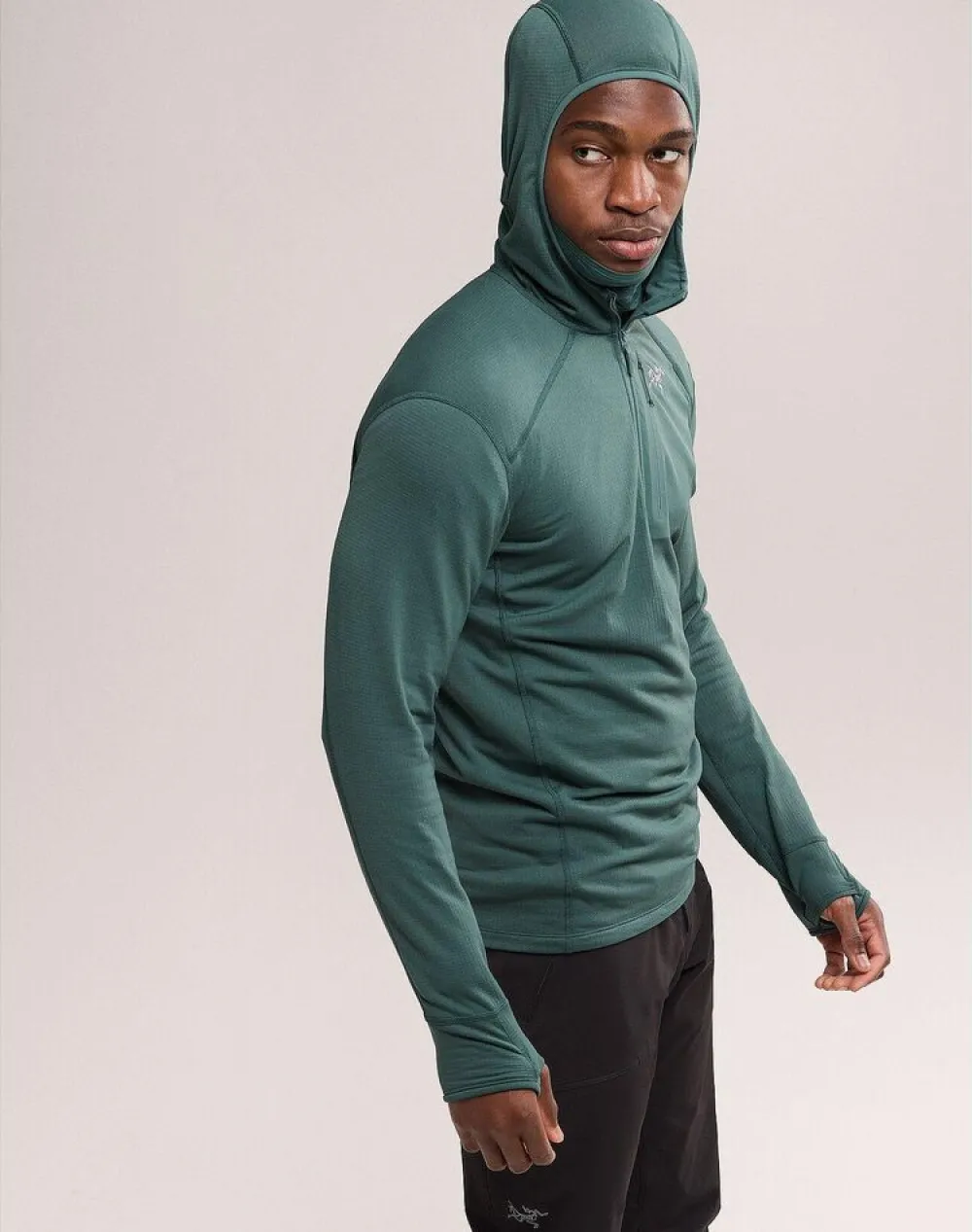 Heren Arcteryx Delta 1/2 zip hoody mens