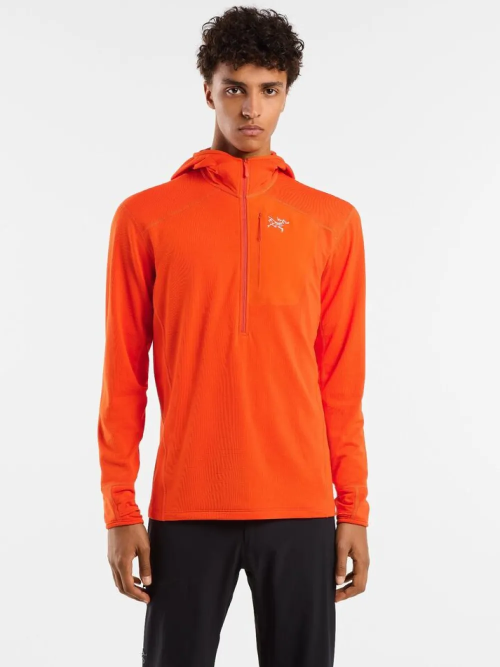 Heren Arcteryx Delta 1/2 zip hoody mens