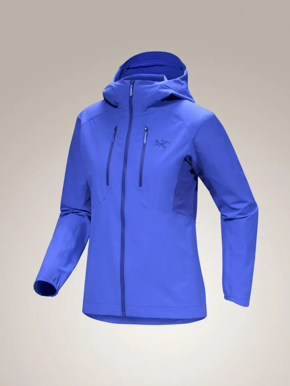 DAMES Arcteryx Psiphon Hoody W