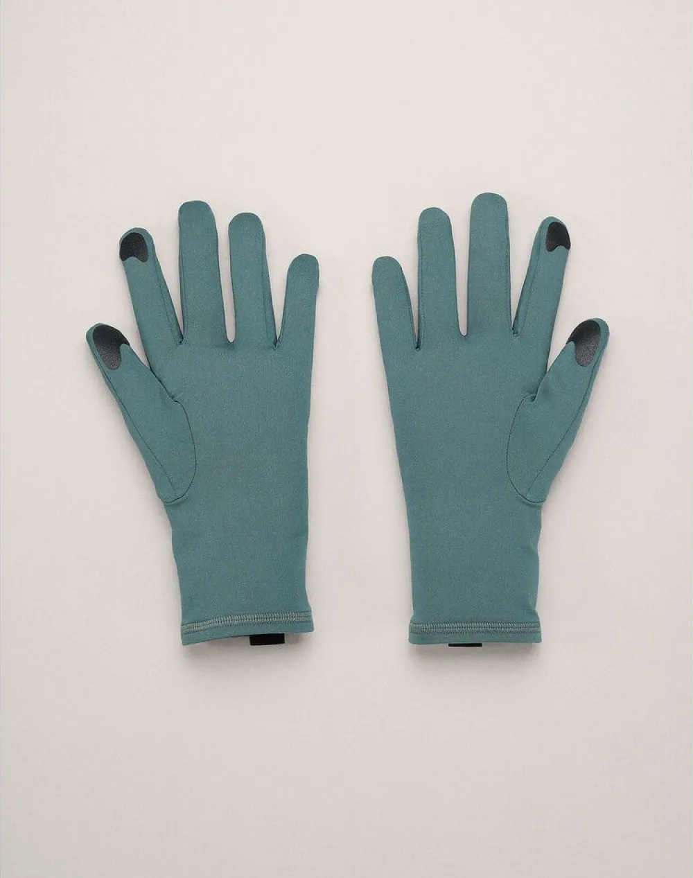 DAMES Arcteryx Rho glove