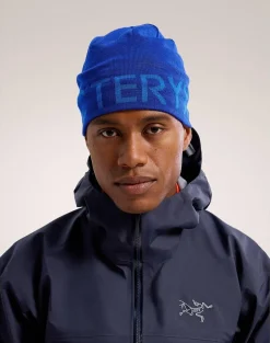 DAMES Arcteryx Word head toque