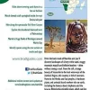 Bradt Travelguides Namibia - reisgids Namibië