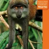 Bradt Travelguides Reisgids Gabon