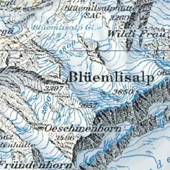 Bundesamt - Swisstopo Topografische kaart 1231 Urseren