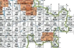 Bundesamt - Swisstopo Topografische kaart 1256 Bivio