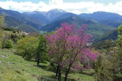 Cicerone Wandelgids Trekking in Greece
