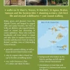Cicerone Wandelgids Walking in the Isles of Scilly