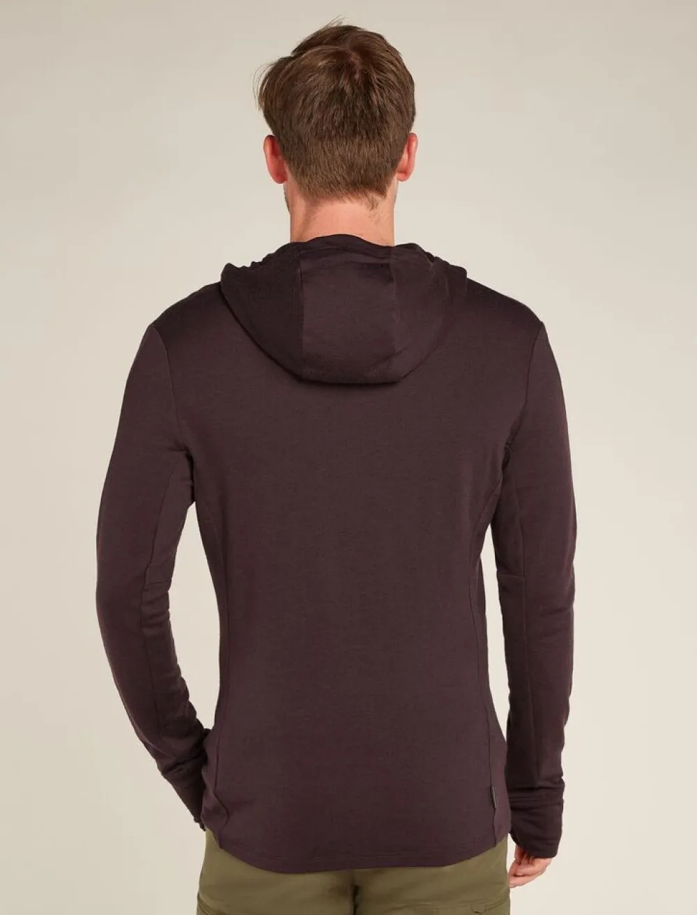 Heren Icebreaker M merino 260 quantum IV LS Zip Hoodie