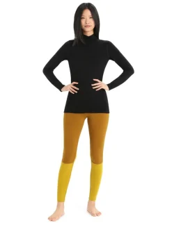 DAMES Icebreaker W 260 tech LS turtleneck