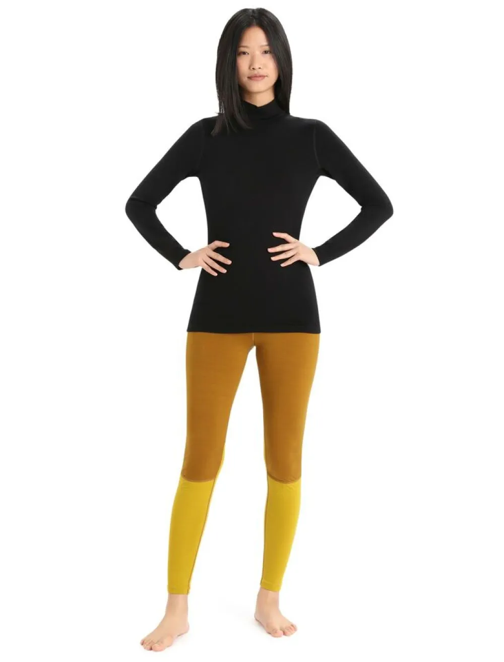 DAMES Icebreaker W 260 tech LS turtleneck