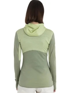 DAMES Icebreaker W Merino 200 Realfleece Descender LS zip hoodie
