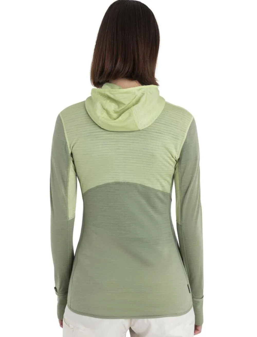 DAMES Icebreaker W Merino 200 Realfleece Descender LS zip hoodie