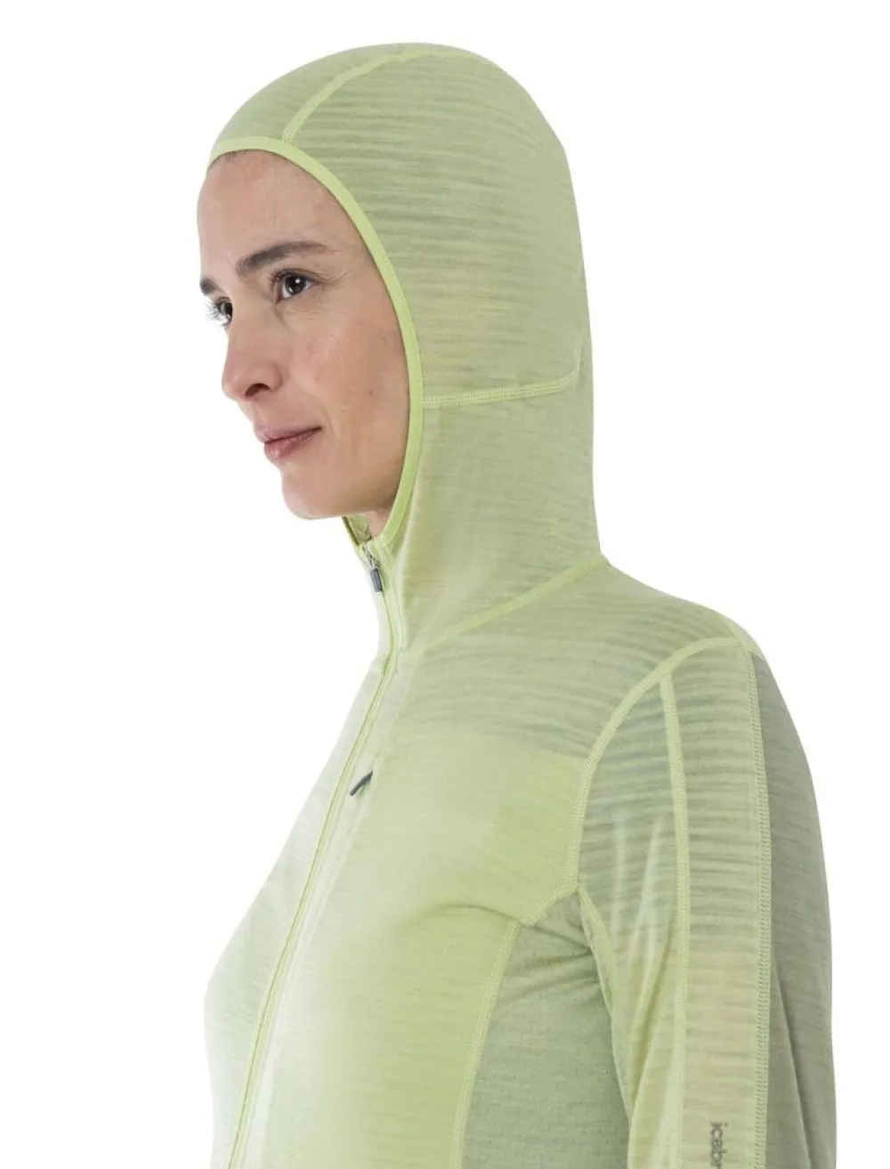 DAMES Icebreaker W Merino 200 Realfleece Descender LS zip hoodie