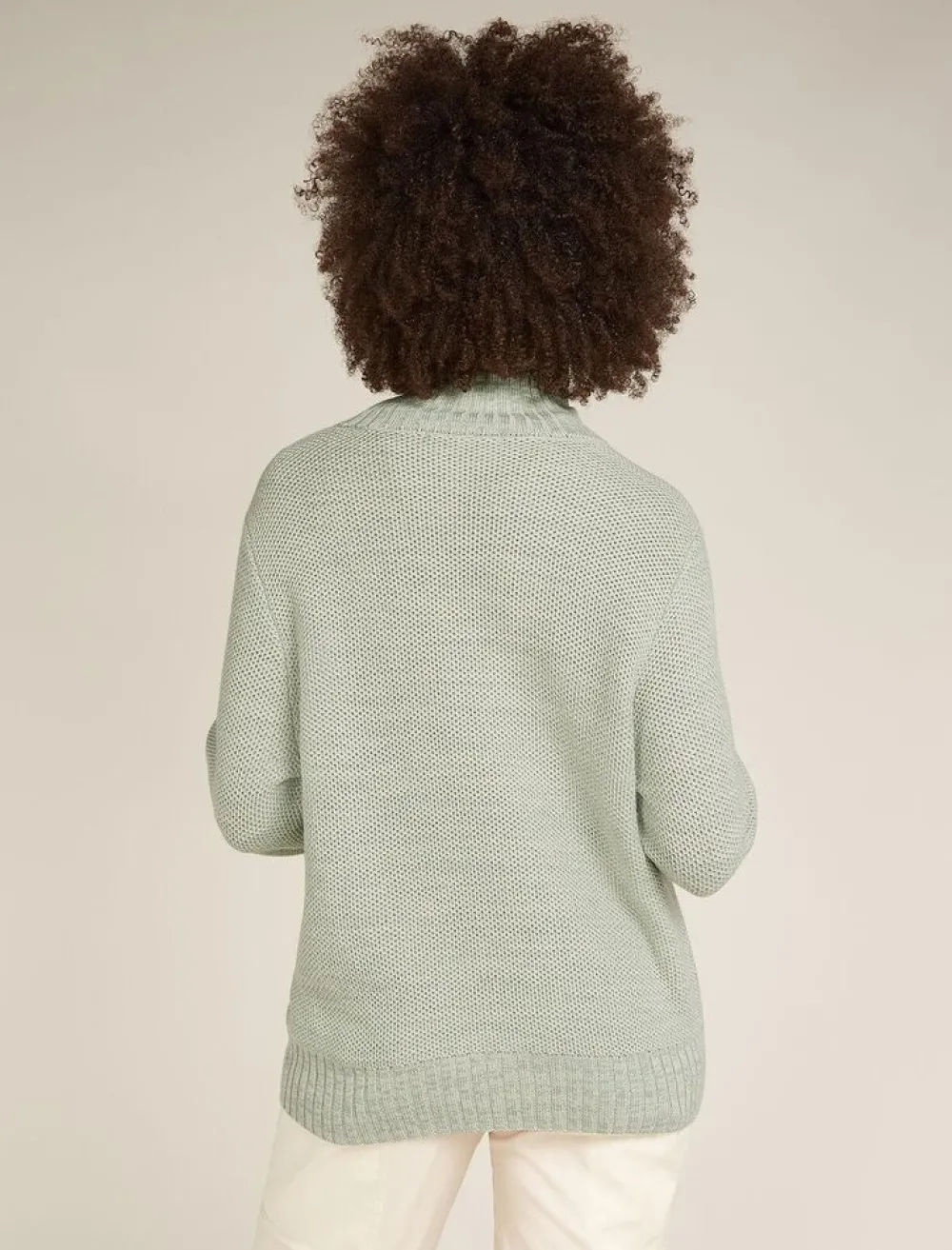 DAMES Icebreaker W Seevista funnel neck