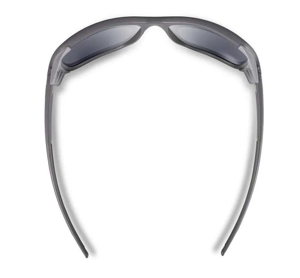 Julbo Monterosa 2 blauw irise P24BL