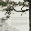 Lannoo Borealis