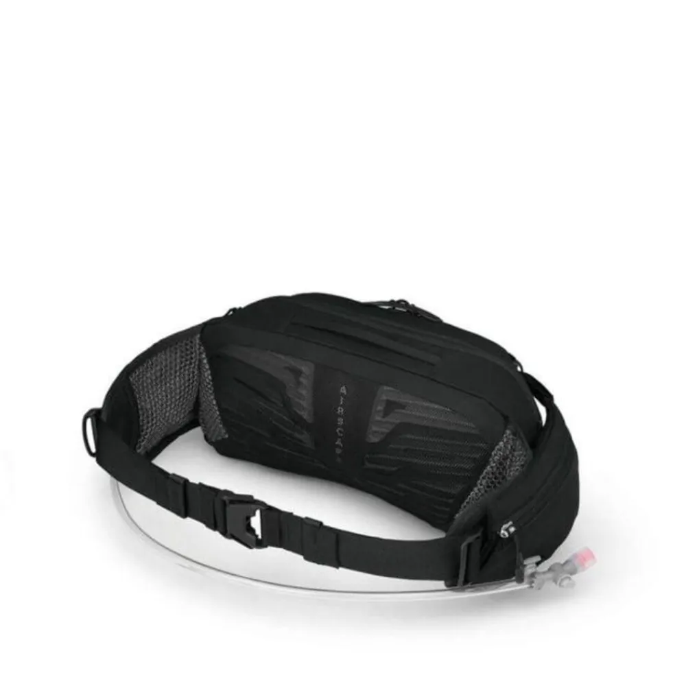 Osprey Raptor 4