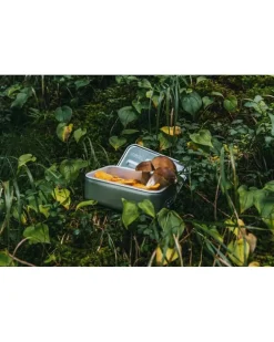 Sigg Metal Box Plus S (pp Box Inlet) Small