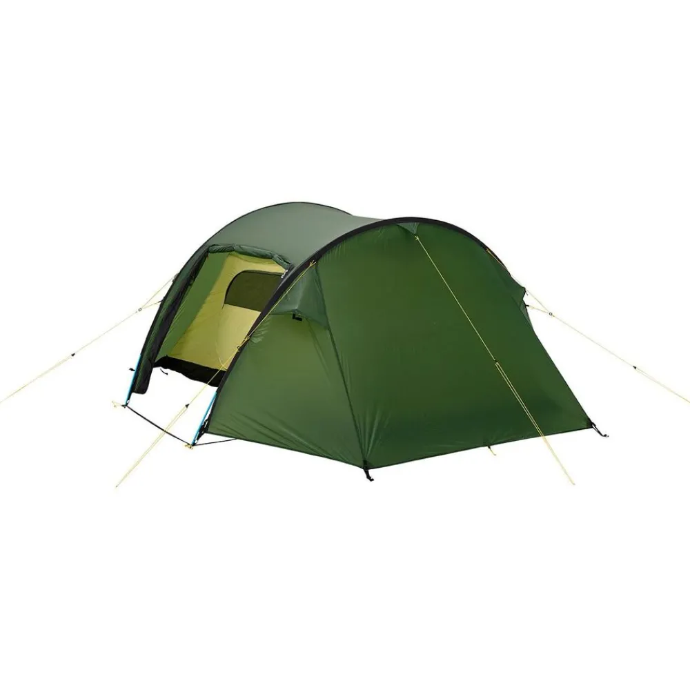Wechsel Pioneer ZG green